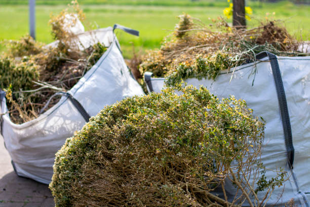 Professional Junk Removal Services in Surfside Beach, SC